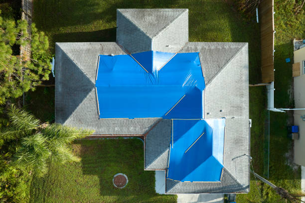 Best Roof Moss and Algae Removal  in Spokane, WA